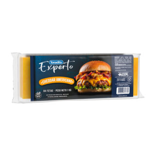 Tonadita fetas cheddar americano X 84 UN
